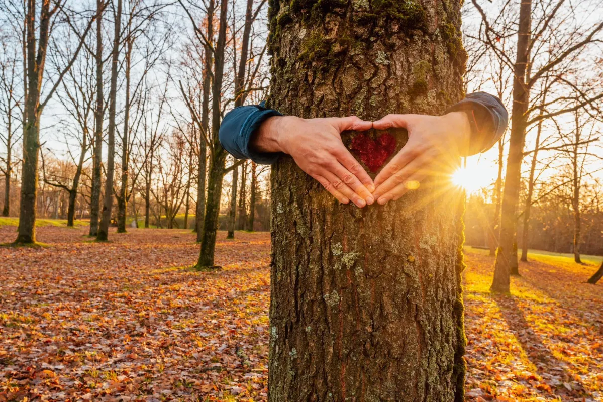 Vital Academy — trening w naturze